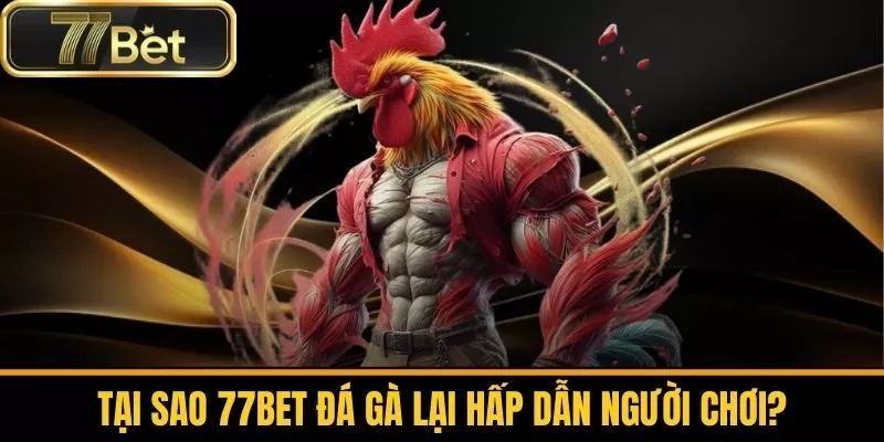 Tại Sao 77bet Đá Gà Lại Hấp Dẫn Người Chơi?