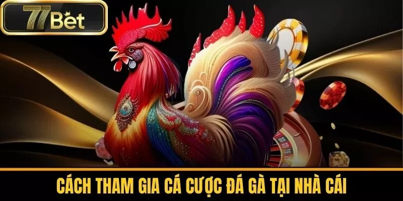 Cách Tham Gia Cá Cược Đá Gà Tại Nhà Cái