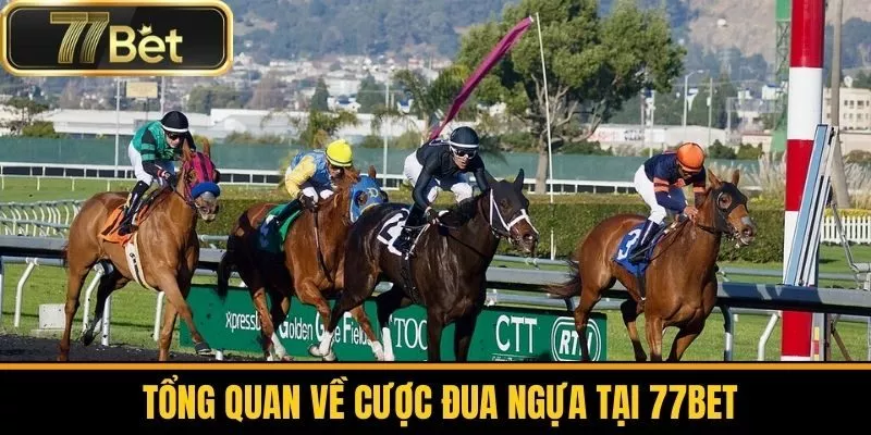 Tổng Quan Về Cược Đua Ngựa Tại 77bet