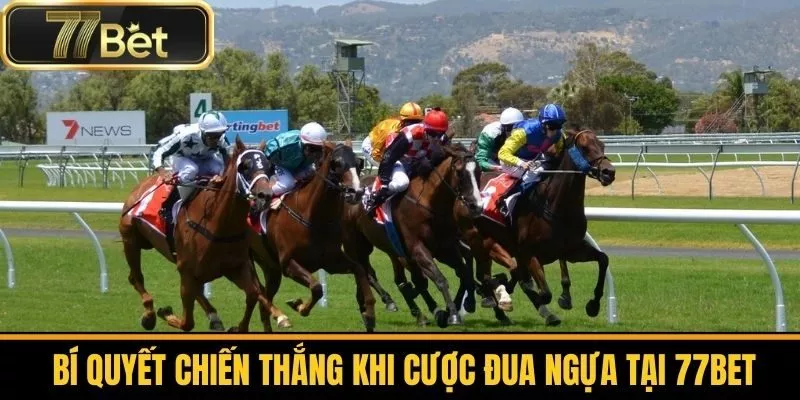 Bí Quyết Chiến Thắng Khi Cược Đua Ngựa Tại 77bet