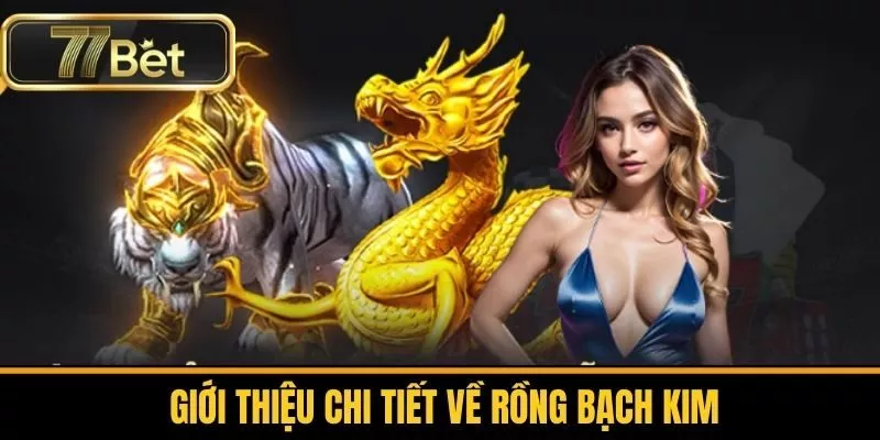 Giới Thiệu Chi Tiết về Rồng Bạch Kim