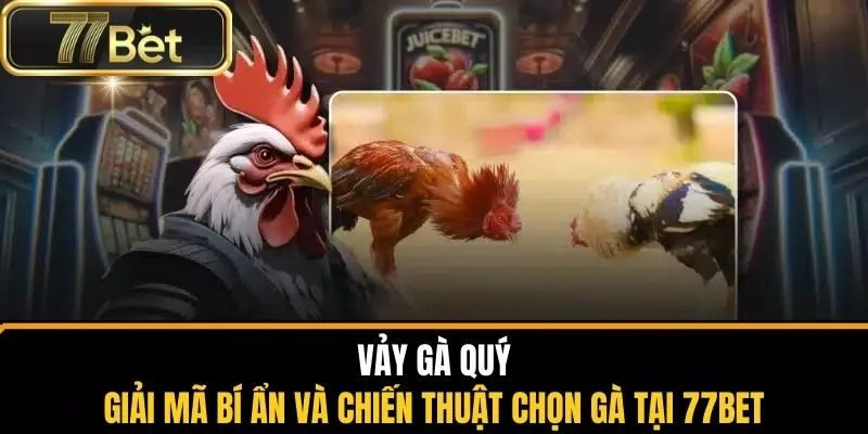 vảy gà quý