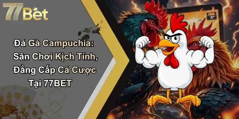 Đá Gà Campuchia: Sân Chơi Kịch Tính, Đẳng Cấp Tại 77BET
