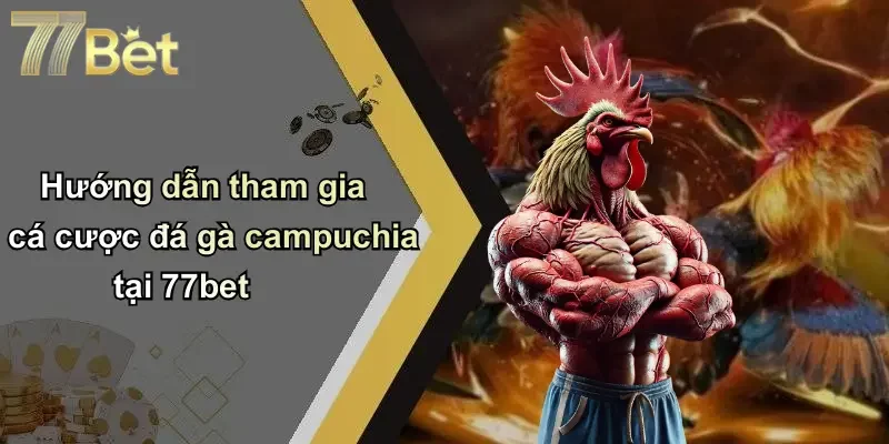Hướng dẫn tham gia cá cược đá gà campuchia tại 77bet