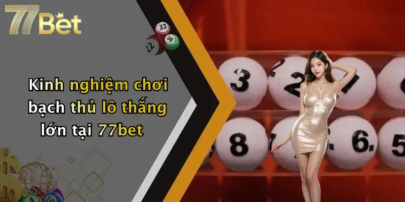 Kinh nghiệm chơi bạch thủ lô thắng lớn tại 77bet